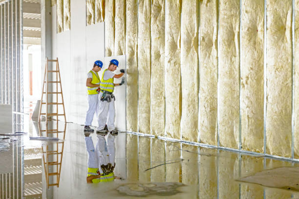 Best Specialty Insulation in Nellysford, VA